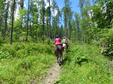Poland-Highlands-Bieszczady Mountains Ride